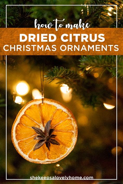 How To Make Dried Citrus Christmas Ornaments Natural Christmas