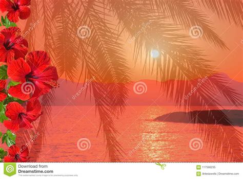 Red Palm Tree And Hibiscus Flower Sunset Stock Image Image Of