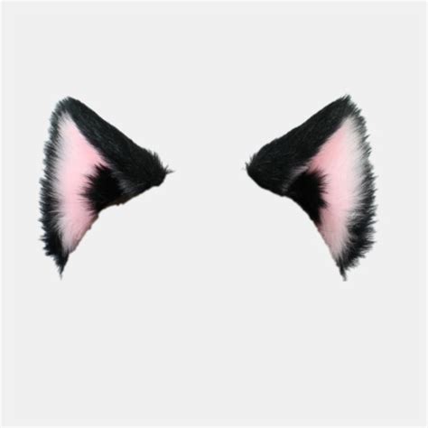 Cat Ears Transparent