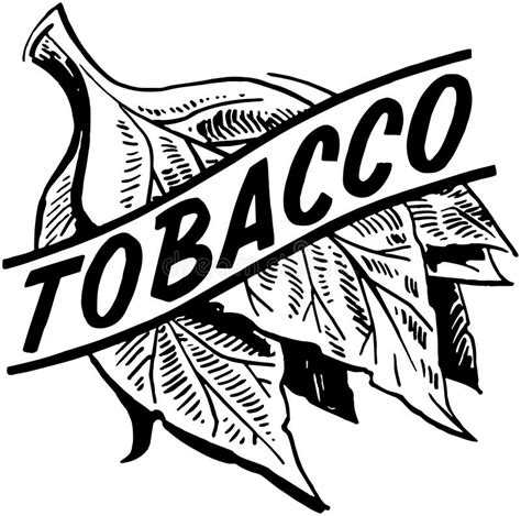 Tobacco Leaf Stock Illustrations 2685 Tobacco Leaf Stock