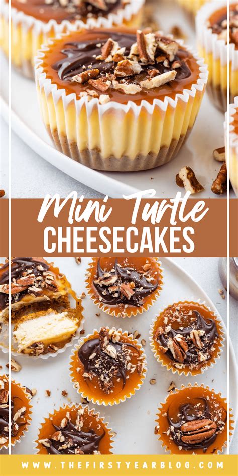 These Mini Turtle Cheesecakes Are The Perfect Blend Of Chocolate