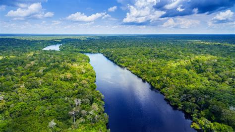 Amazon River Amazing Geography Facts