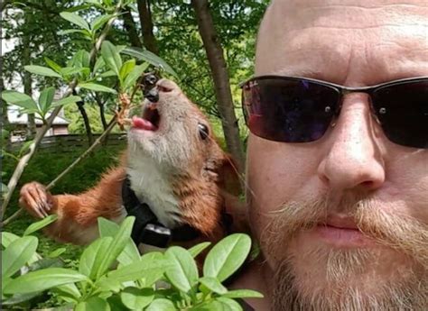 Man Becomes Unlikely Best Friends With Baby Squirrel After