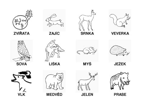 zvířata v lese Hledat Googlem Forest animals, Forest, Animals