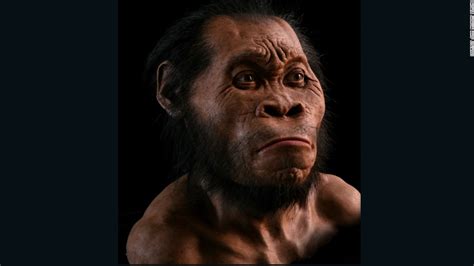 Aufgabe Abitur Homo Naledi Homo Naledi New Species Of Ancient Human