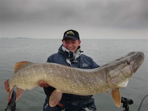 Record Breaking Northern Pike Session Struik Rovers Youtube
