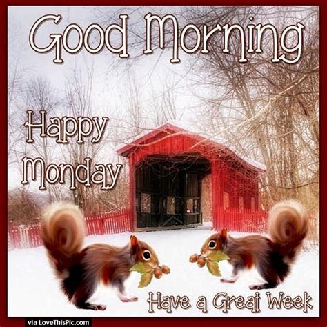 Good Morning Happy Monday Have A Great Week Pictures Photos And