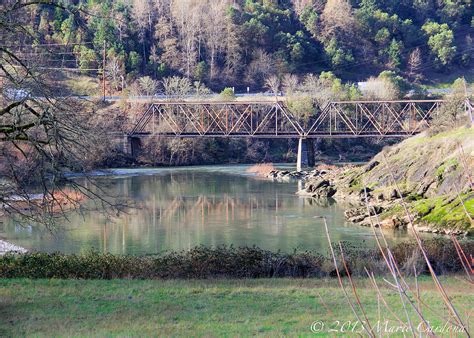 Bridge Over Myrtle Creek Photograph By Marie Cardona Fine Art America