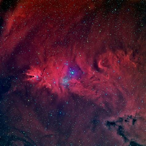 Fox Fur Nebula Located About 2500 Light Years Away Toward The