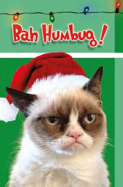 Merry Christmas Grumpy Cat Grumpy Cat Christmas Grumpy Cat