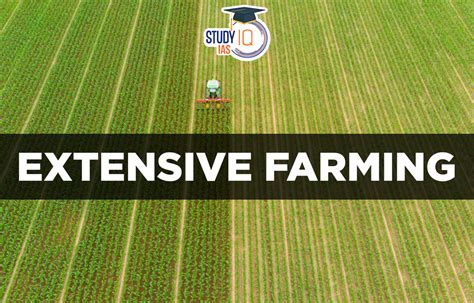 Extensive Farming Meaning Examples Advantages And Disadvantages