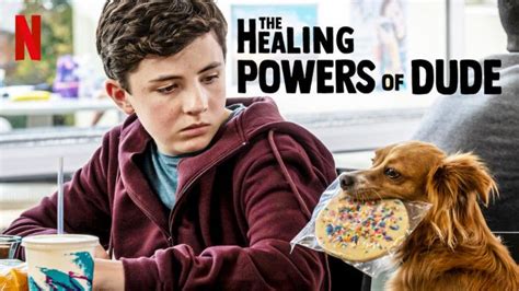 Las 20 Mejores Películas Sobre Perros Disponibles En Netflix Para Los