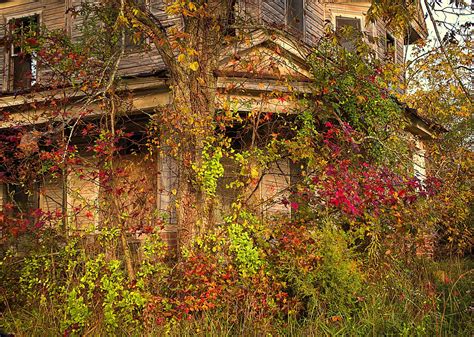 All Photos by Scott Garlock Photography | Autumn Embrace | Abandoned