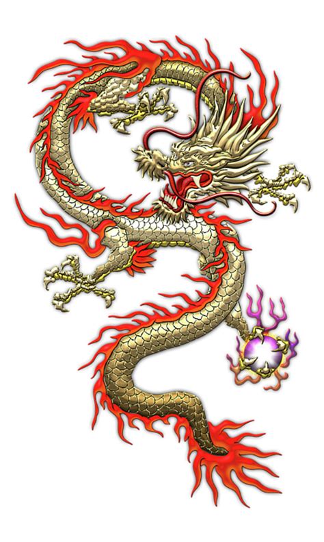 Golden Chinese Dragon Fucanglong On Black Silk Duvet Cover