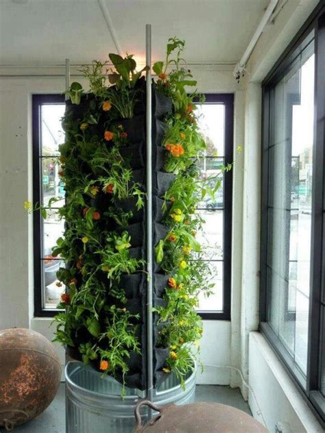 No matter if your living space is small, dark, damp, or dry, there's a plant for you. 10 Pinterest Indoor and Outdoor Garden Finds
