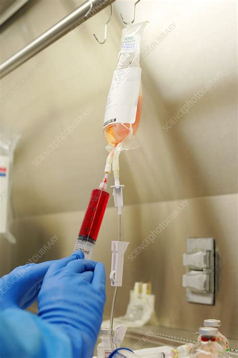 Oncology Pharmacist Preparing Drug Treatment Stock Image C0015423