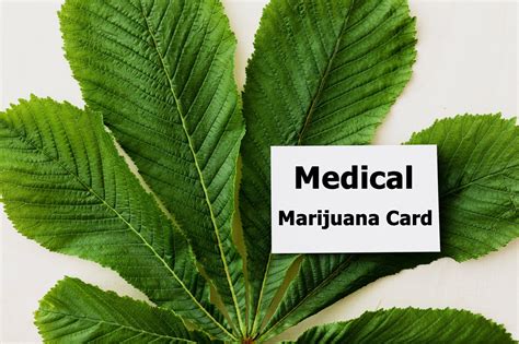 Society has used cannabis for a lot of different reasons throughout time, and while some might suggest its benefactors are. Understanding New York's Regulations on Getting a Medical Marijuana Card