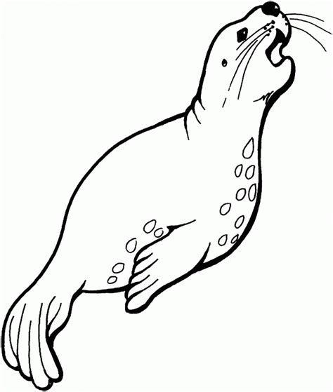 Monk Seal Colouring Pages For Kids Preschool And Kindergarten