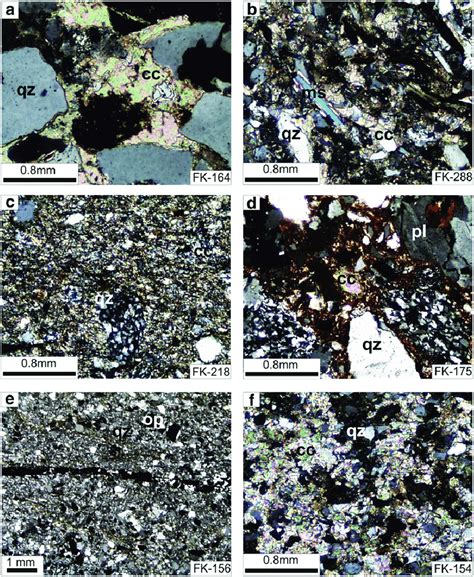 Selected Photomicrographs Of Thin Sections From Sedimentary Rocks
