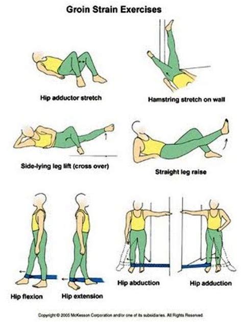 Exercise Rehabilitation For Groin Pull Physical Therapy Exercises