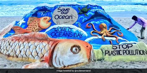Protection of nature, underwater world and marine animals. 65+ Best World Oceans Day 2019 Wish Pictures And Images