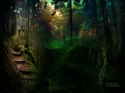 A Morning In A Magical Forest By Shades Of Art On Deviantart