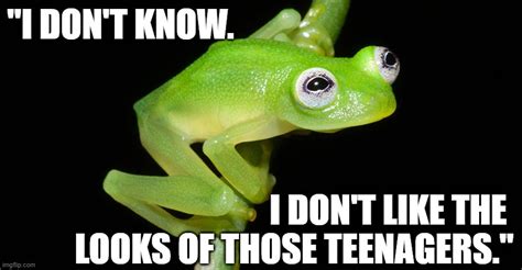 Funny Frog Meme I Dont Know I Dont Like The Looks Of Those