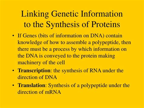Ppt Protein Synthesis Powerpoint Presentation Free Download Id 2974874
