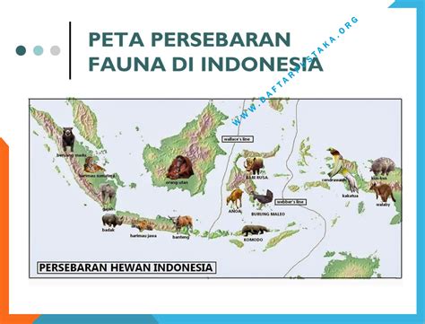 Peta Persebaran Flora Dan Fauna Di Indonesia Terlengkap Borneo Channel
