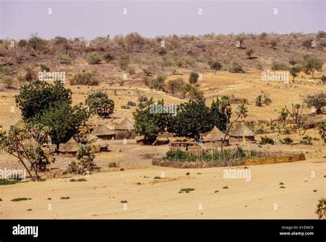 Niger Barkewa Village In The Dry Season Semi Arid Sahel West Africa