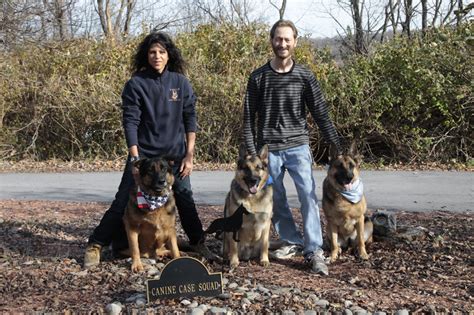 Canine Case Squad Canine Behaviorists And Trainers Ny Dog Behaviorist
