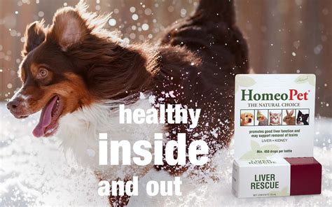 Liver Health In Pets Homeopet