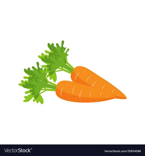 Carrots Flat Royalty Free Vector Image Vectorstock