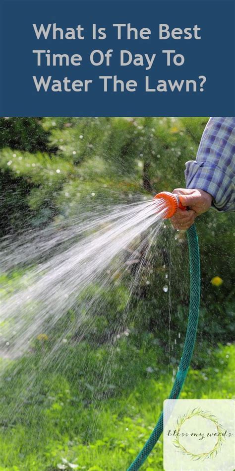 What Are The Best Times To Water Your Lawn During The Hot Summertime