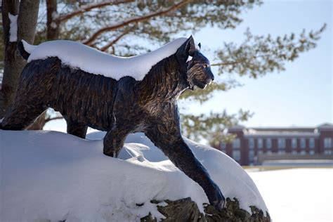 Nescac Chill Poll For Feb 24 2015 Bates Is The Winner News