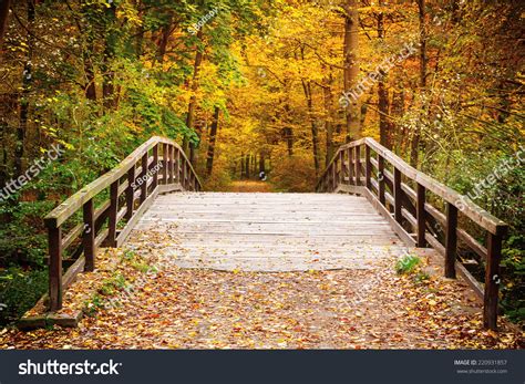 Wooden Bridge In The Autumn Forest Stock Photo 220931857