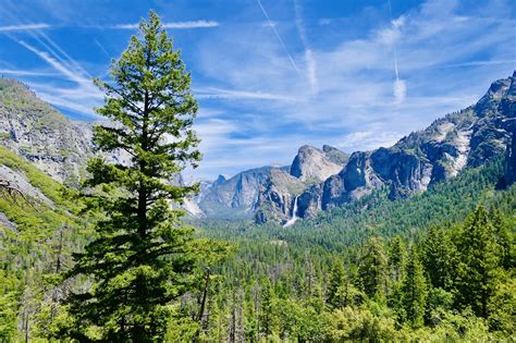Mountains Forest Yosemite Free Photo On Pixabay Pixabay
