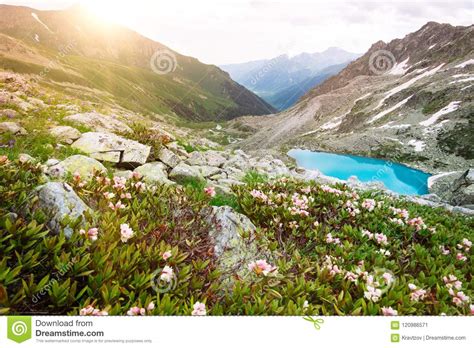 Amazing Mountain Sunny Landscape With Blue Lake And Pink