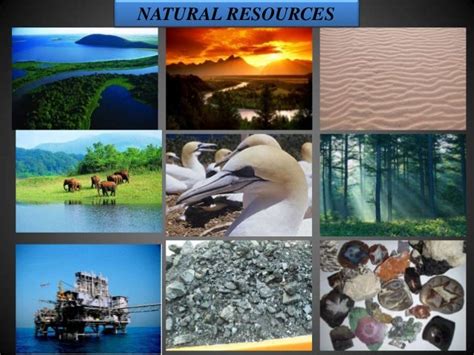Conservation Of Natural Resources
