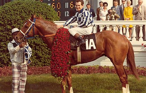 The heart of secretariat was two and a half times the size of a regular horse. Secretariat's Record-Breaking Run, 40 Years Later - HISTORY
