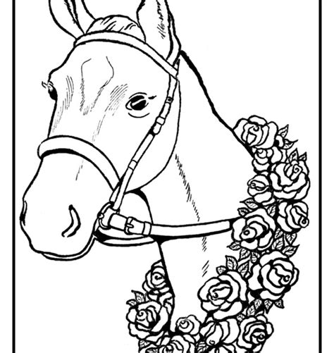 Tekening Paardenhoofd Kleurplaat Zwarte En Witte Contouren Van Het