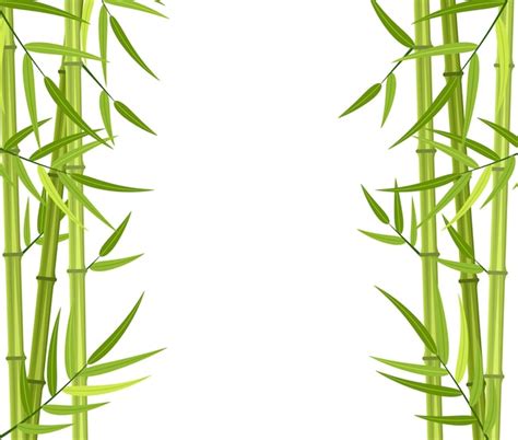 Premium Vector Vector Green Bamboo Stems