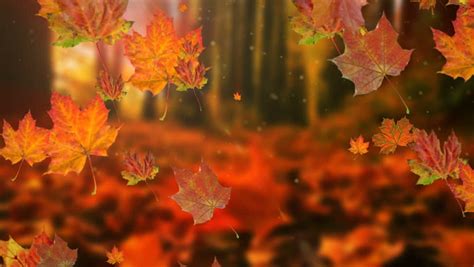 Autumn Leaves Falling 10 Free Hq Online Puzzle Games On