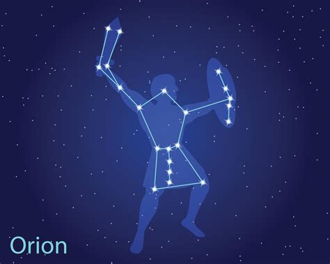 Vector Illustration Of The Constellation Orion Pegasus Constellation