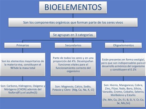 Los Valores Origen De La Vida Bioelementos BiomolÉculas