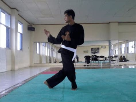 7 Teknik Dasar Pencak Silat Beserta Gambarnya Dan Video