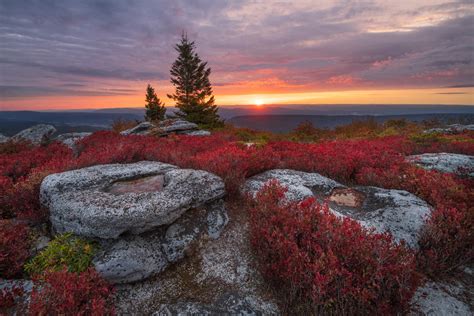 Autumn Sunrise From Bear Rocks Preserve Dolly Sods Wilderness West