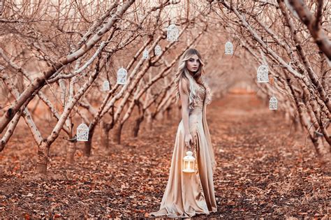배경 화면 햇빛 숲 야외 여성 여자들 모델 알레산드로 디 시코 분기 벚꽃 봄 나무 가을 식물 시즌 삼림지 2048x1365