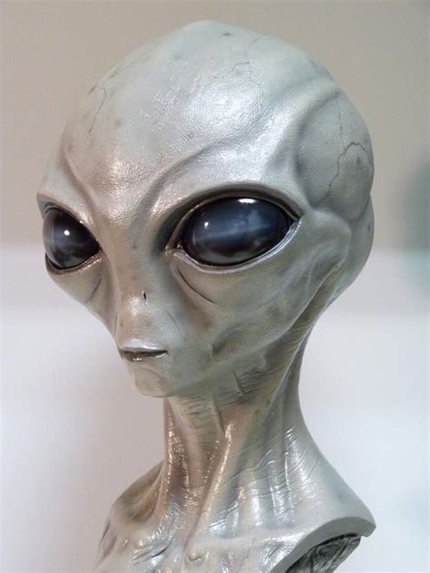 Alien Grey Bust Life Size Inspired X Files Science Etsy Grey Alien