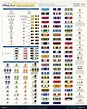 A quick guide to U.S. military ranks and commendations. : r/coolguides